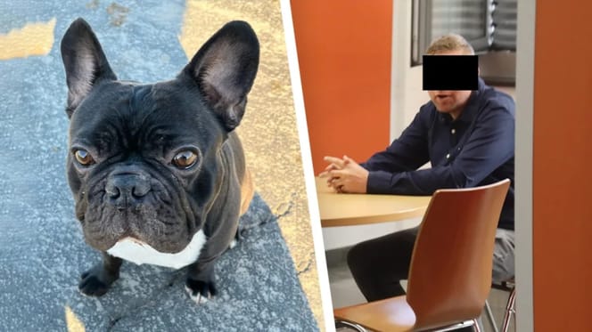 Mann beißt Hund Carlos