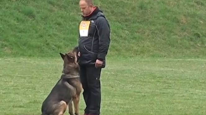 Homme avec berger allemand