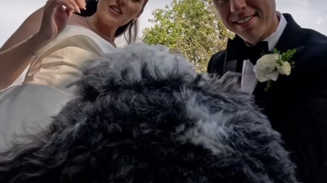 Hochzeit mit Hund