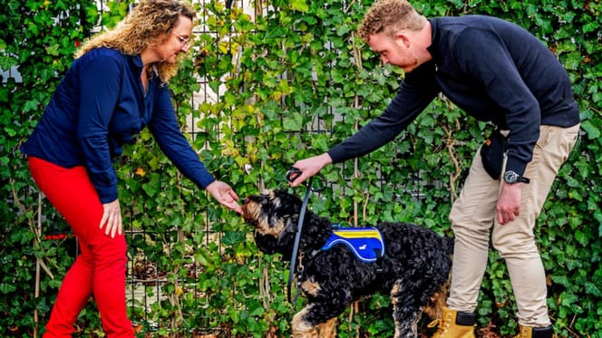 Mark Verhoef met zijn hulphond Shiro