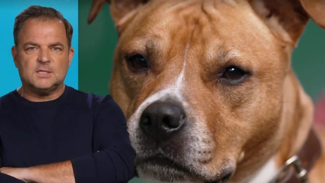 Martin Rütter und Geronimo