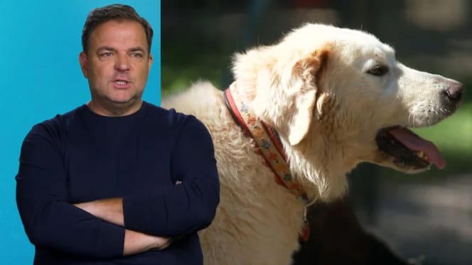 Martin Rütter und Herdenschutzhund Willi