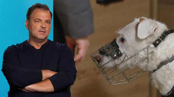 Martin Rütter und Hund Elvis