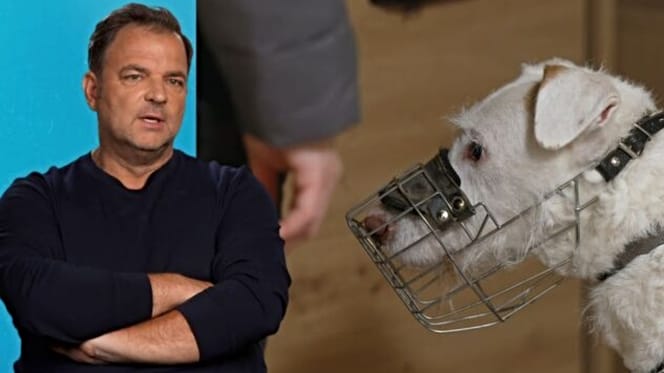 Martin Rütter und Tierheimhund Elvis