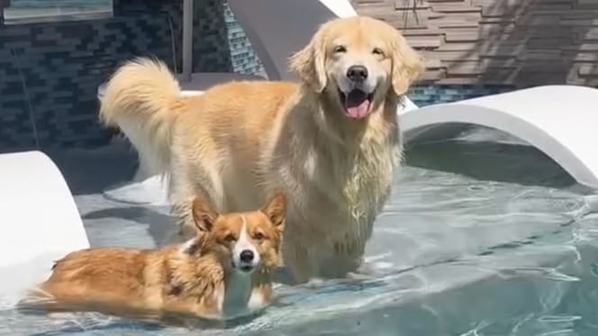 Maui et Ruby