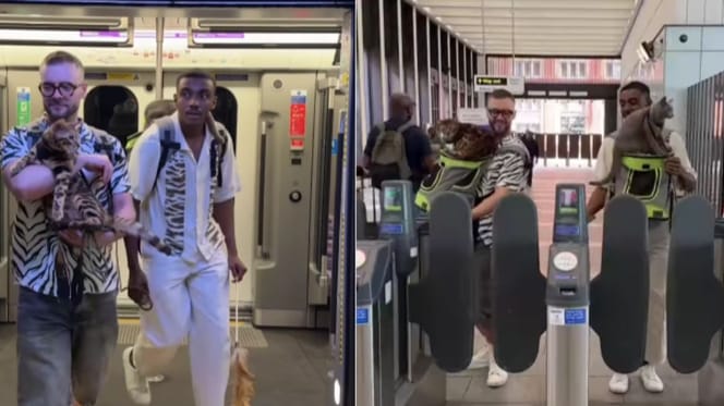 Men carrying cats out of tube and through barriers