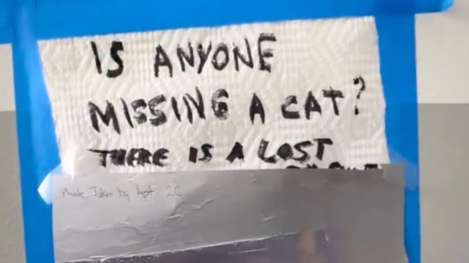 Messaggio nel palazzo