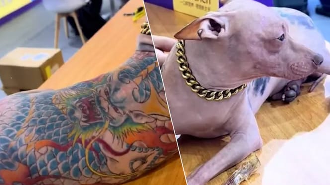 Mexicaanse naakthond vol met tattoo's zorgt voor veel ophef en woede