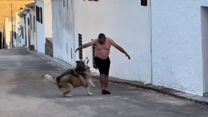 mi-padre-jugando-con-el-perro-que-no-queria-namek-malamute