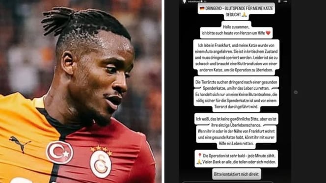 Michy Batshuayi zittert um seine Katze
