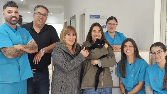 milagro-navidad-gato-regresa-casa-tenerife