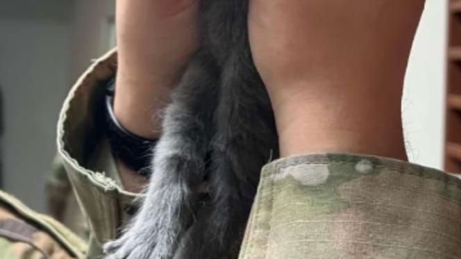 Soldaat en kat