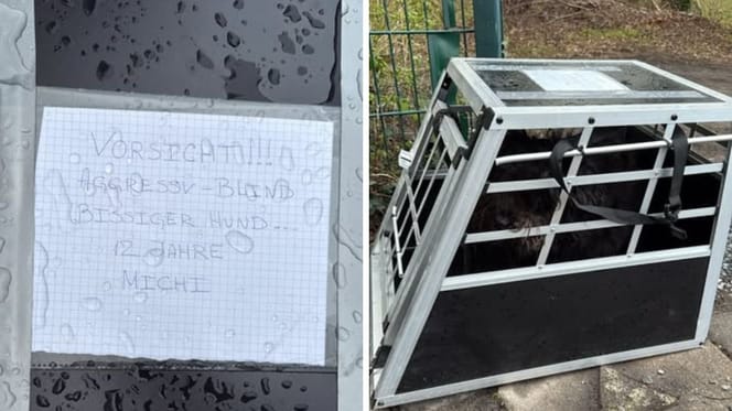 Milos Käfig und der Brief