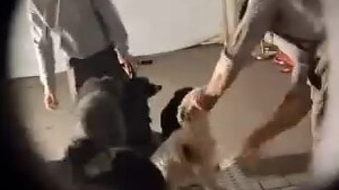 Misshandlungen von Hunden im Europapark