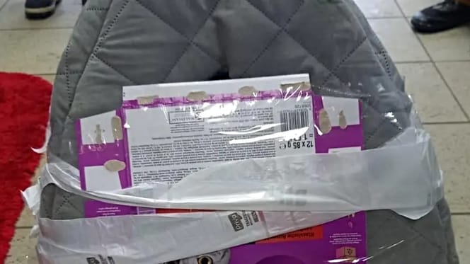 Mit Klebeband verschlossene Katzenhöhle