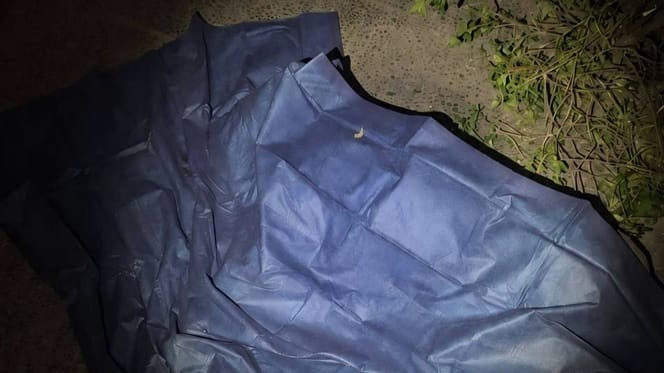 Mit Plane abgedeckter Hund