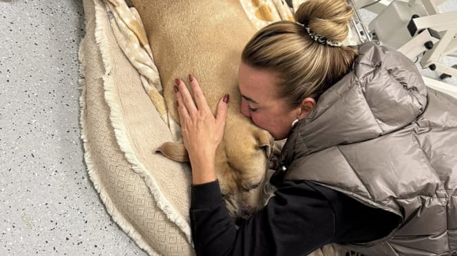 Monique Westenberg geeft update over zieke hond Gioai