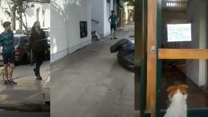 Montage eines Mannes, der einem verlorenen Hund durch die Straßen folgt