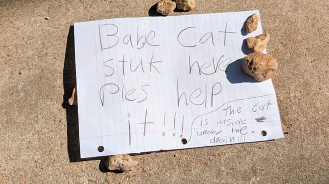 Note left for trapped kitten