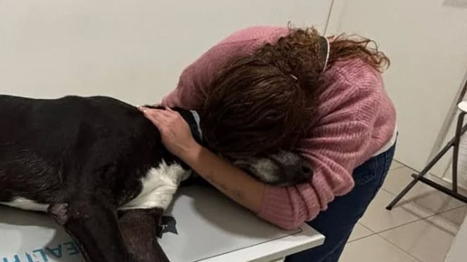mujer-abraza-perro-fallecido