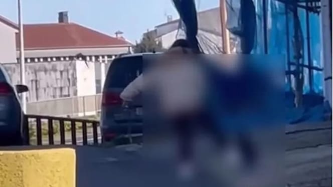 mujer-maltrata-perro-santiago-compostela-galicia