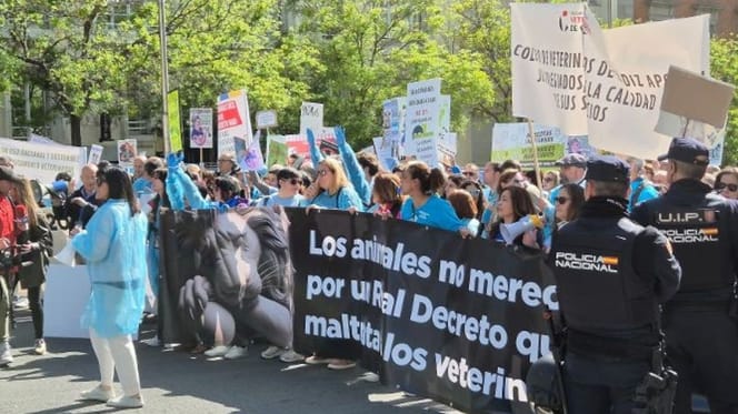 mujeres-veterinarias-manifestaciones-huelga-veterinaria-2025