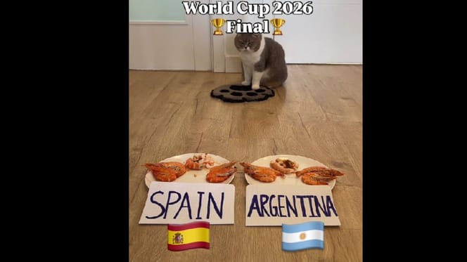 mundial argentina españa