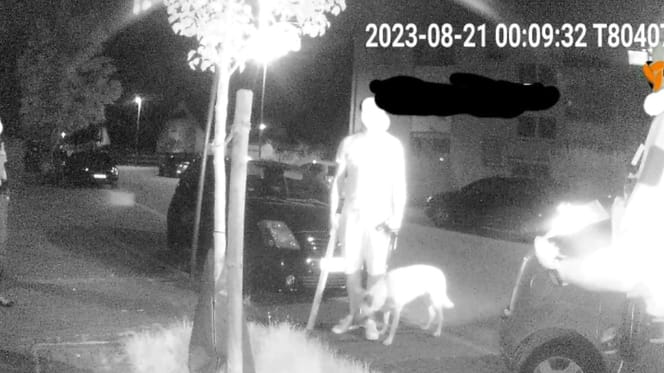 Photo de nuit d'un propriétaire de chien et de deux policiers