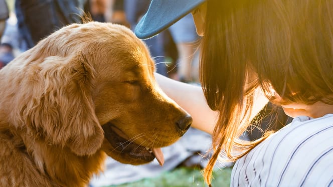 namen voor een adoptiehond