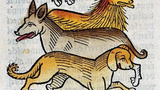 nombres-medievales-para-perros