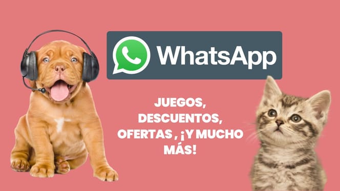 Ofertas mascotas