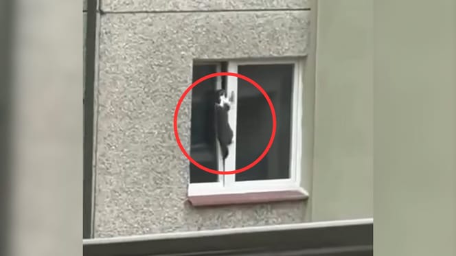 Gekipptes Fenster in einem Wohnblock