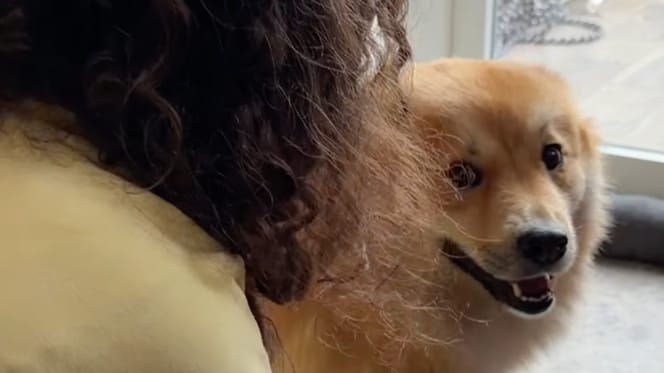 Olympe et sa Dog Routine