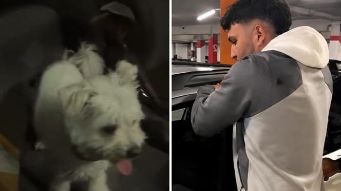 omar-montes-arranca-puerta-coche-rescata-perro-encerrado