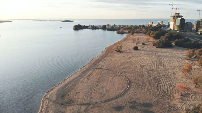 Onderzoek levert geen antwoorden voor zieke honden Almere-strand