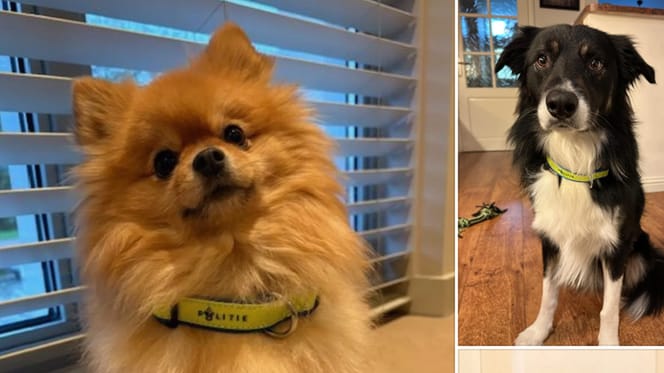 Oplichters grijpen winactie van politie aan om mensen op te lichten