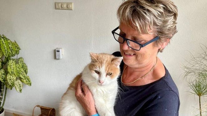 Oranje kater Schimanski is 33 jaar oud, een wereldrecord