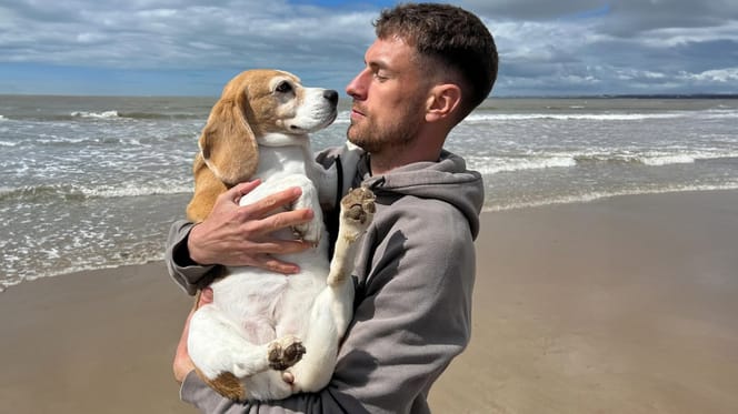 Oud-Arsenal ster wanhoop nabij nadat hond Halo spoorloos is