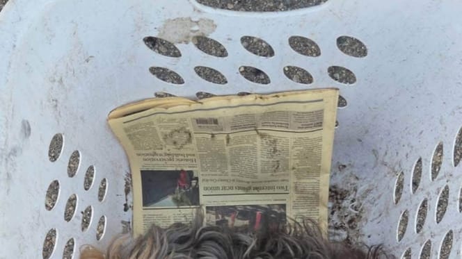 Cesto per il bucato