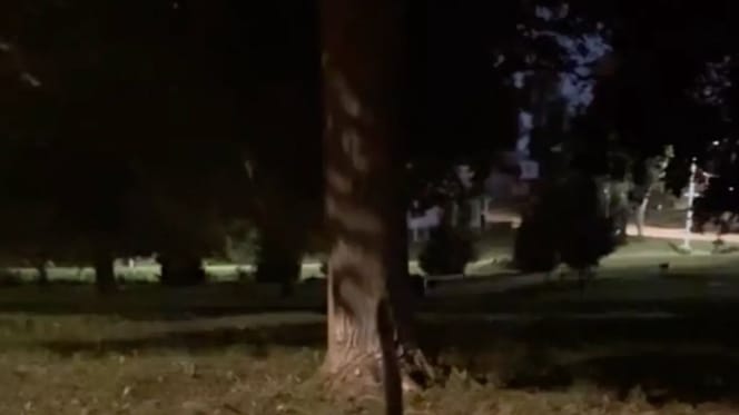 Parc dans la nuit