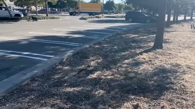 Parking de supermarché