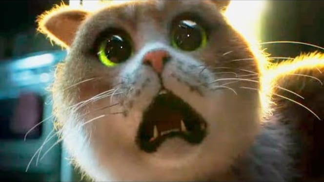 películas de gatos en netflix