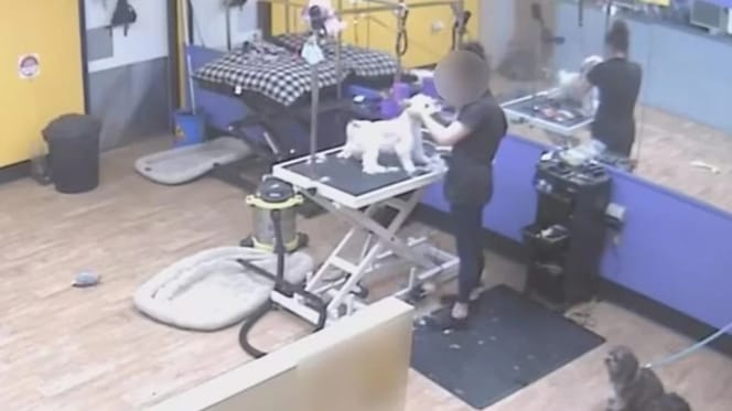 Une toiletteuse canine révèle sa vraie nature.