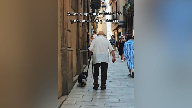 perro-abuelo-caminando-paso-lento-barcelona