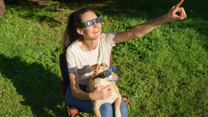 perro-eclipse-solar
