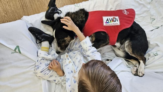 perro-terapia-acomapaña-niño-con-cancer-hospital-malaga