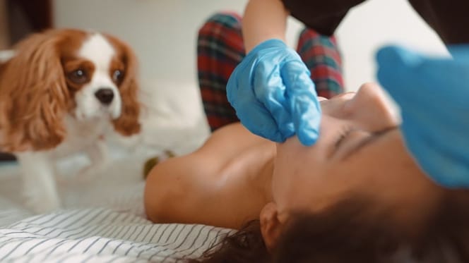 perros-alerta-medica-personas-con-epilepsia