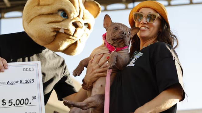 Petunia, het lelijkste hondje ter wereld valt in de prijzen