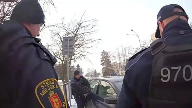 pies zamknięty w samochodzie na mrozie