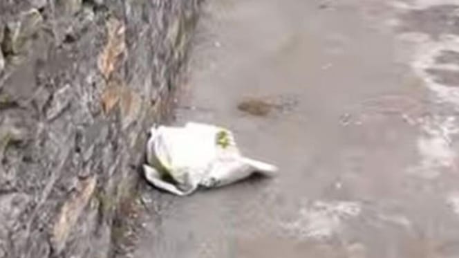 Sacchetto di plastica trovato sul ciglio della strada